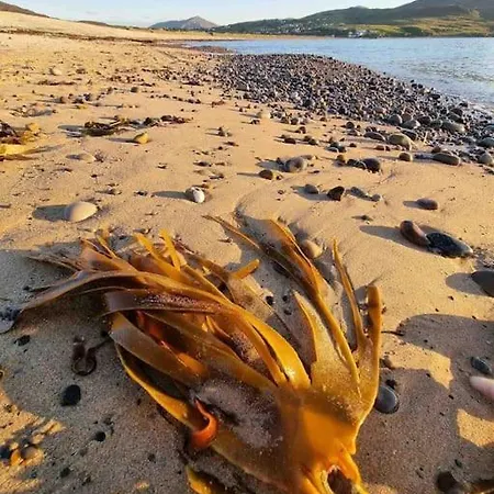 Hollymount House Semesterbostad Carndonagh