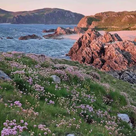 Hollymount House Semesterbostad *