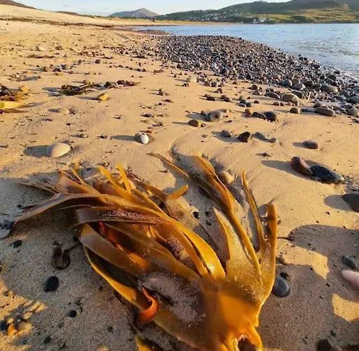 Hollymount House Hébergement de vacances Carndonagh