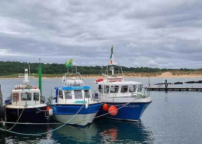 Hollymount House Hébergement de vacances *